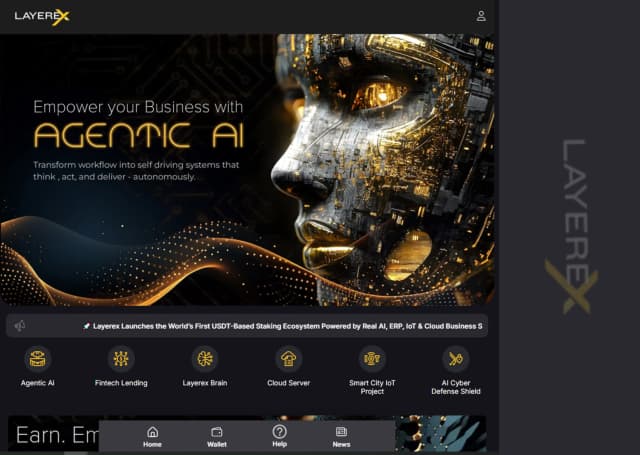 Web developers for website portal development in chandigarh